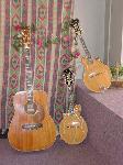 Wayne Power's instruments