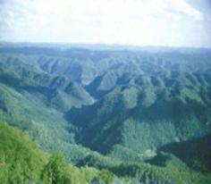 Photo in Appalachia - Coming into the mountains.